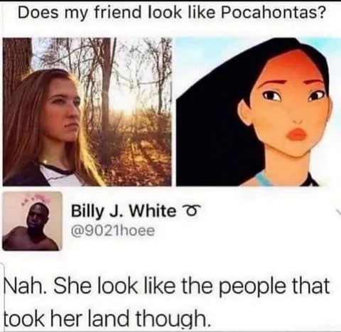 Pocahontas Land Theft Comparison