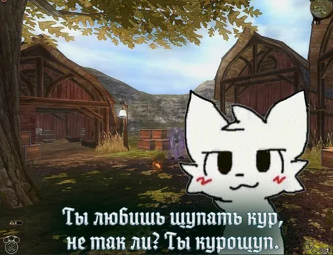 Ты курощуп
