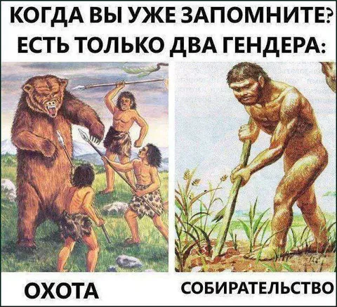 Есть только два гендера