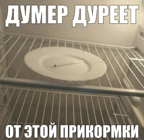 Думер дуреет от прикормки