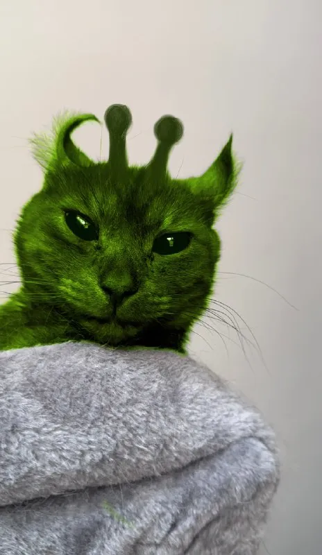 Зелёный кот-инопланетянин