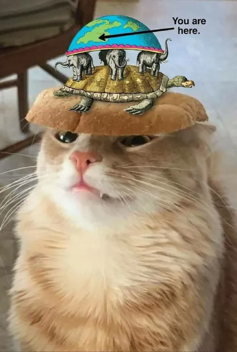 Cat Carrying the World
