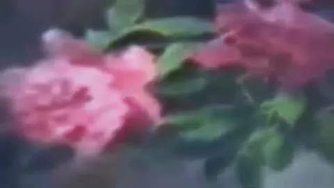Девочка в классе и внезапная любовь