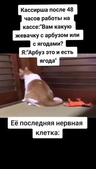 Последняя нервная клетка после смены
