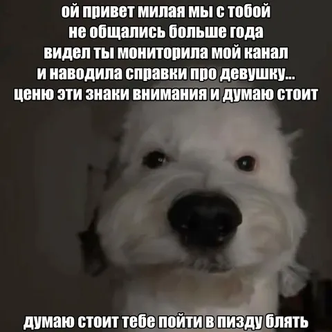 Ценю знаки внимания