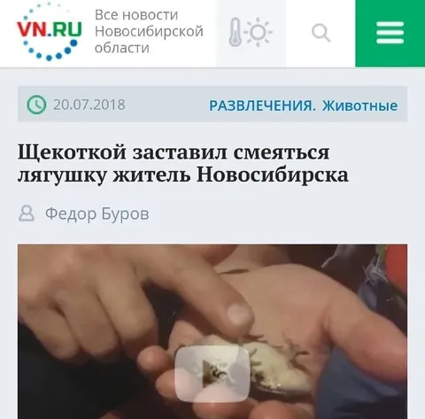Щекотка заставила лягушку смеяться