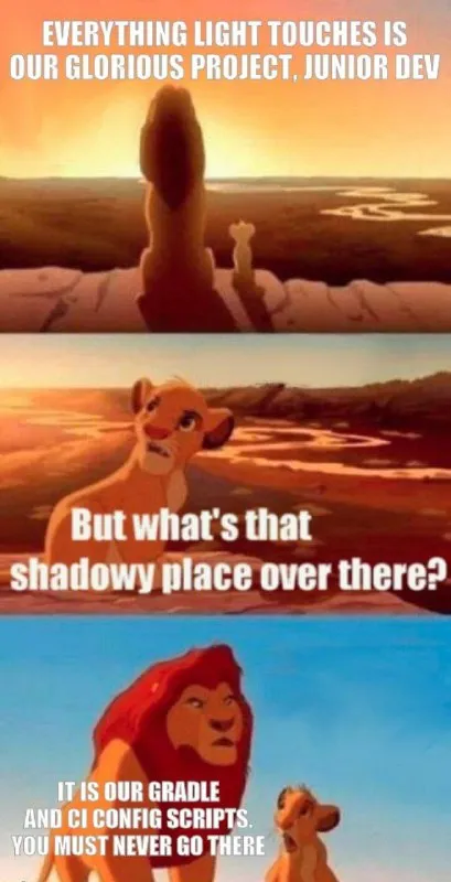 Junior Dev Must Never Go There