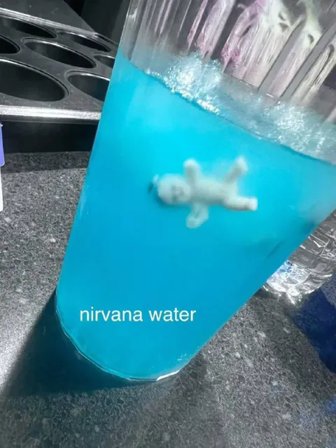 Nirvana Water