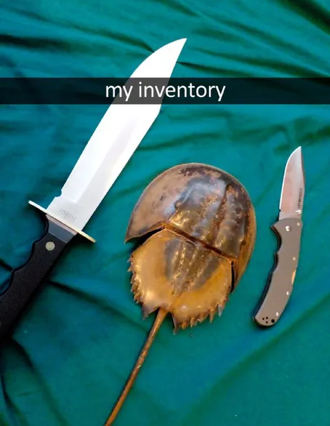 My Inventory: Knives and Horseshoe Crab