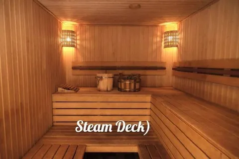 Steam Deck Sauna Pun