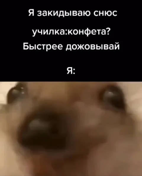 Быстрее дожёвывай снюс