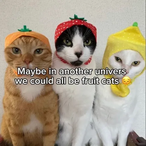 Fruit Cats in Another Universe
