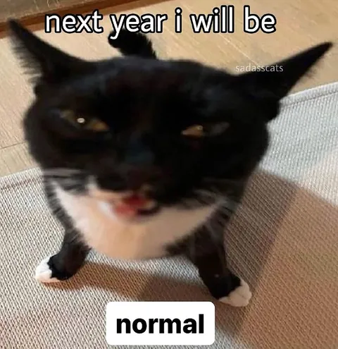 Next Year I Will Be Normal Cat