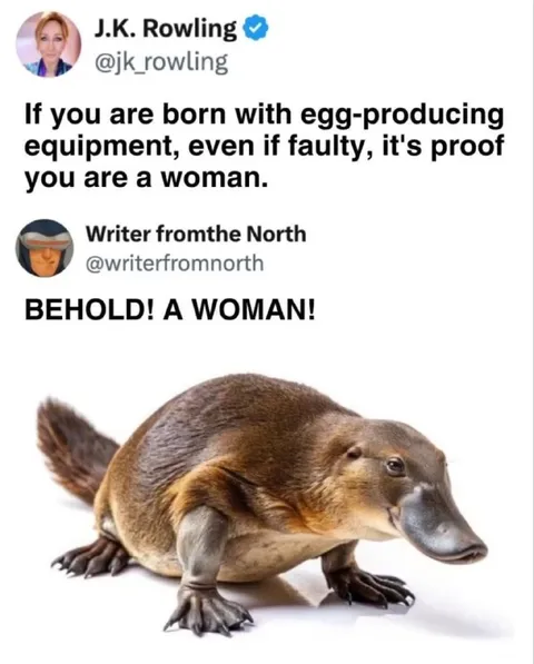 Behold, a Woman Platypus
