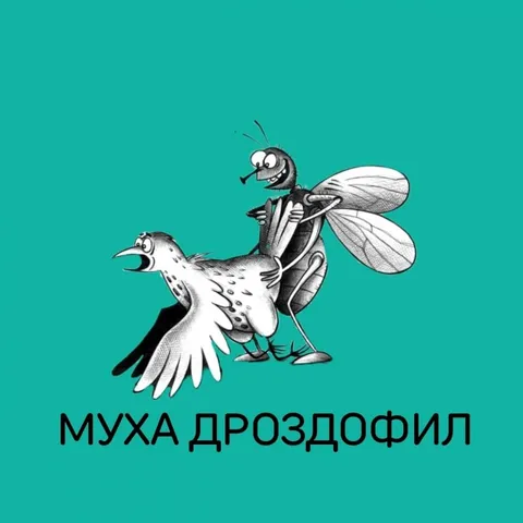 Муха дроздофил
