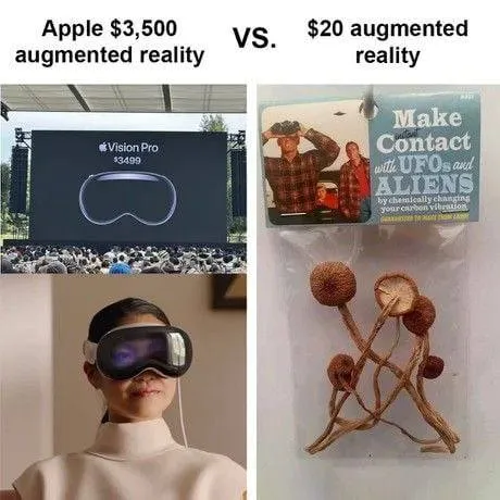 Apple Vision Pro Versus UFO Reality