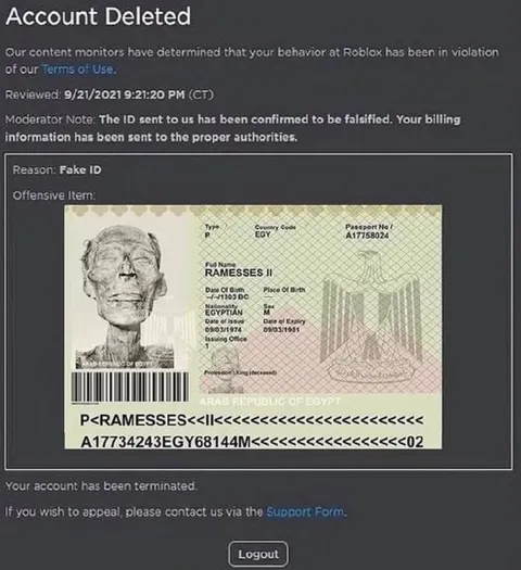 Roblox Account Deleted for Fake ID