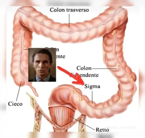 Patrick Bateman en el colon