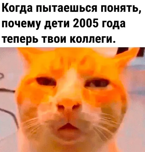 Когда коллеги младше тебя