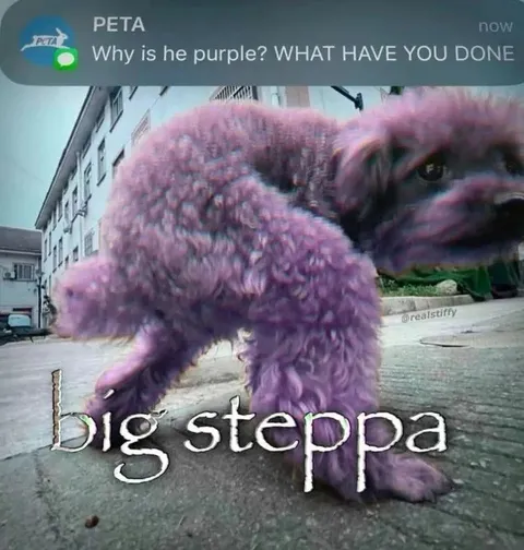 Purple Big Steppa