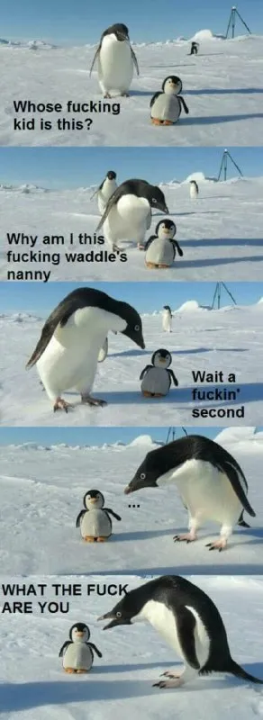Penguin Discovers the Wrong Baby