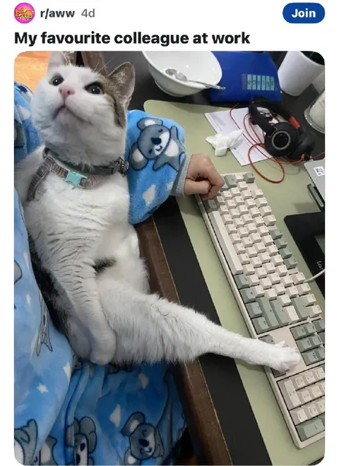 Favourite Colleague at Work