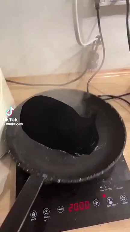 Максвелл жарится на сковороде