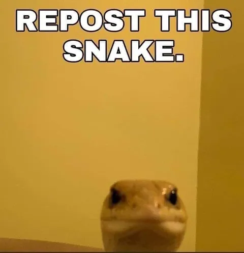 Repost This Snake