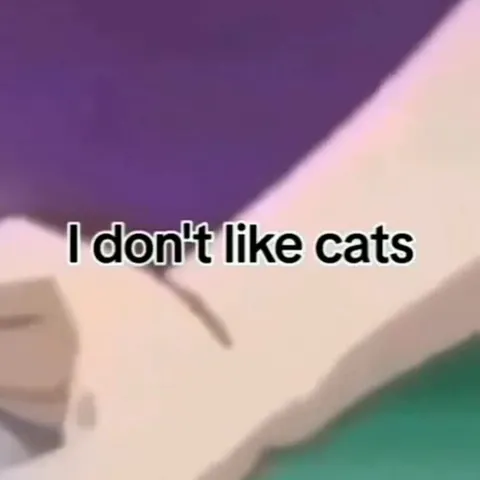 I Don't Like Cats Button