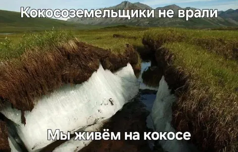 Мы живём на кокосе