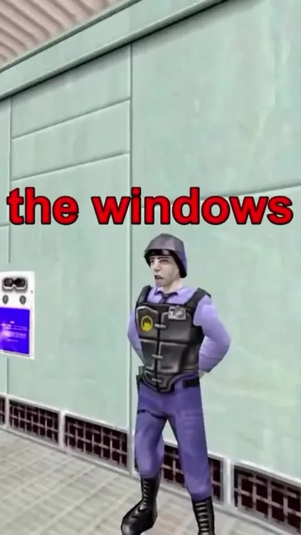 The Windows Just Stopped