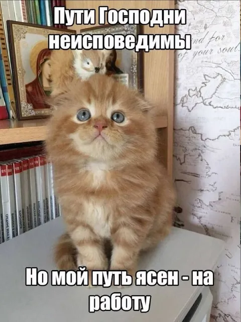 Мой путь ясен — на работу