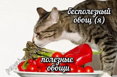 Бесполезный овощ и полезные овощи