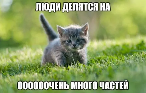 Люди делятся на части