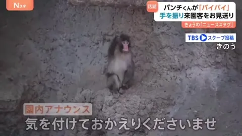 パンチくんのバイバイ