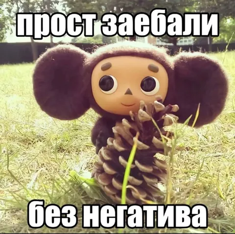 Шрoст забрали без негатива