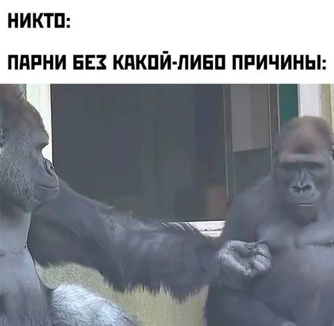 Парни без причины