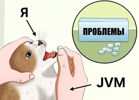Я лечу проблемы через JVM