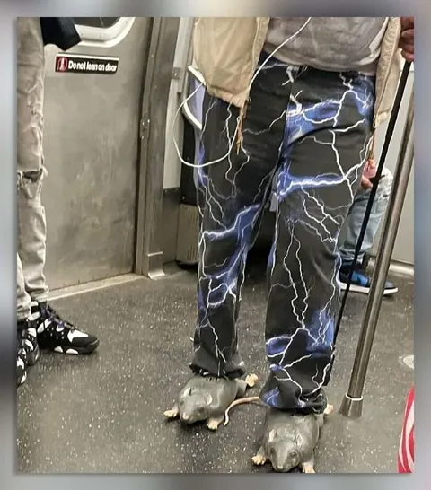 Lightning Pants and Rat Slippers