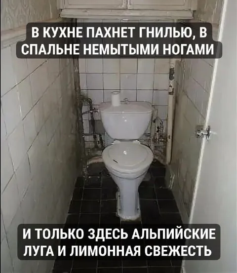 Альпийские луга в туалете