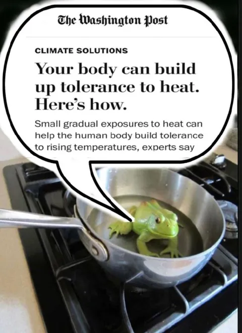 Frog Builds Heat Tolerance
