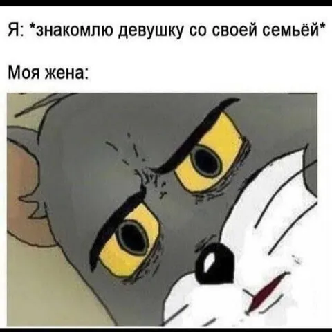 Знакомство девушки с семьёй