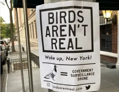Birds Aren't Real Sign