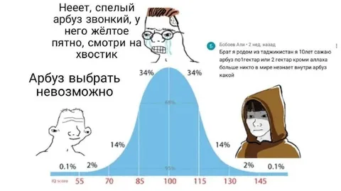 Как выбрать спелый арбуз