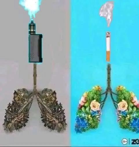 Лёгкие после вейпа и сигарет