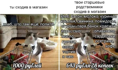 Старшие родственники сходили в магазин