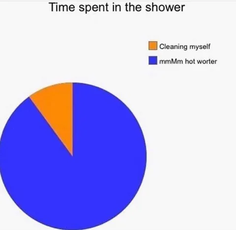 Shower Time Pie Chart