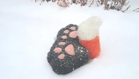 Лапки в снегу