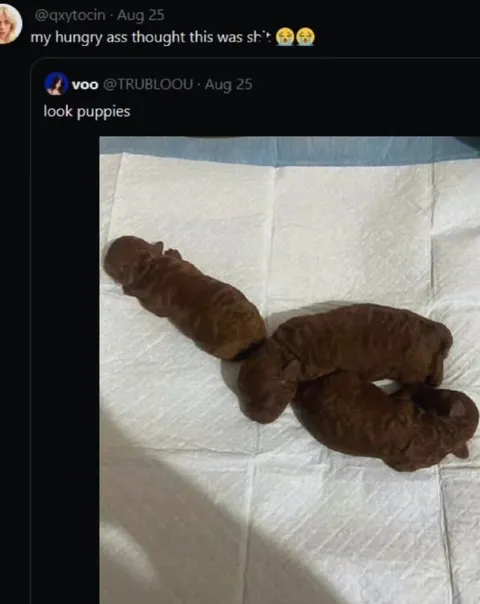 Hungry Ass Sees Puppies as Shit
