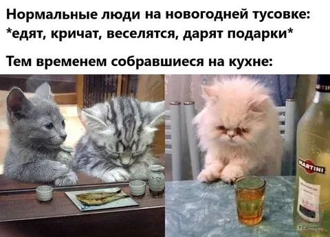 Котята на новогодней тусовке